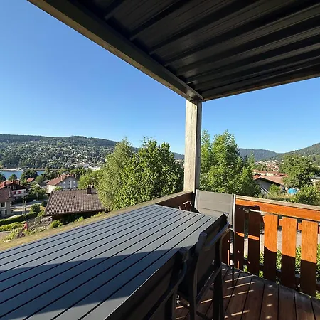 公寓 Avec Vue 热拉梅